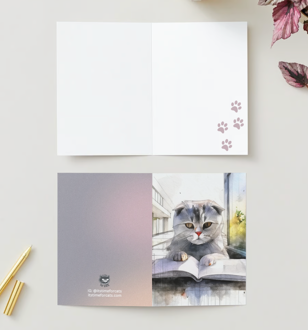 SCOTTISH FOLD CAT WITH MANUSCRIPT Card Set – Blank Greeting Cards Pack of 10