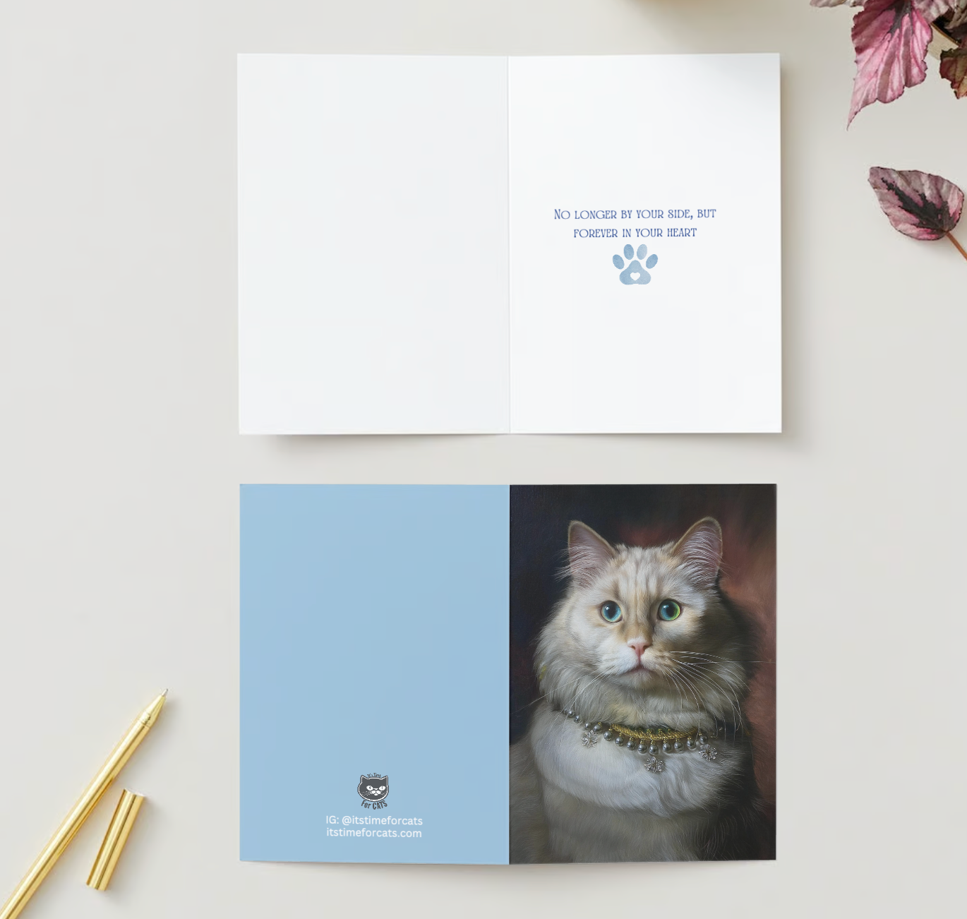 ELEGANT CAT LOSS SYMPATHY CARDS – Portrait of Longhaired White Cat with Blue Eyes – Pack of 10