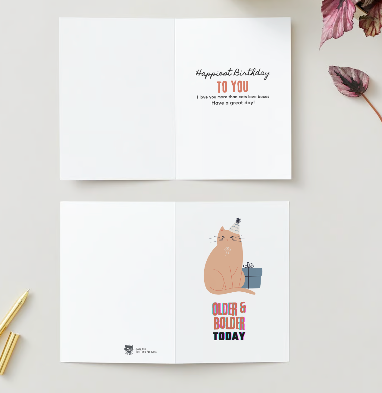 OLDER BOLDER BIRTHDAY Pack of 10 Birthday Greeting Cards (US & CA)