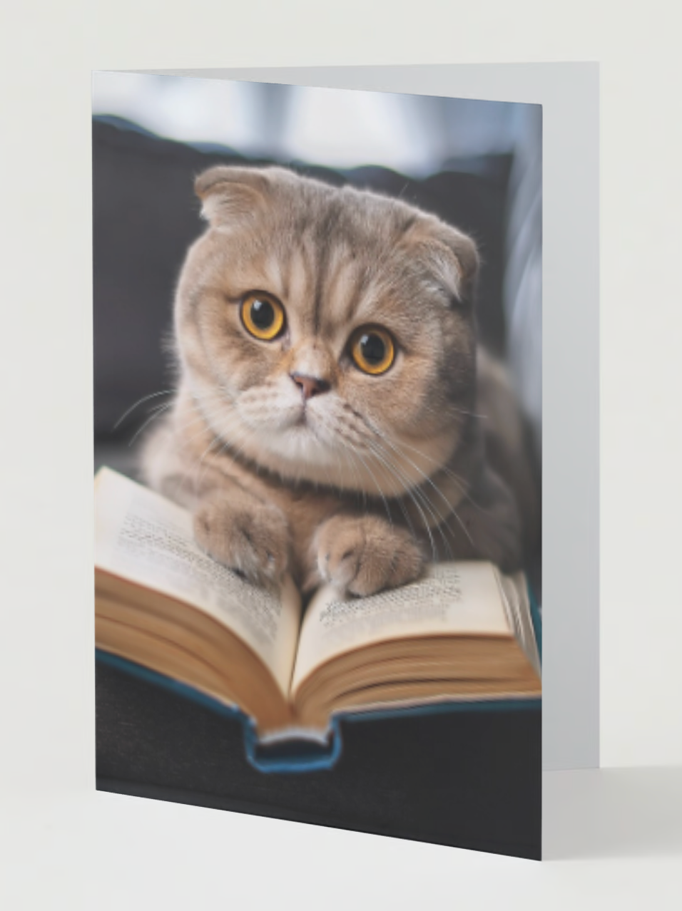 SCOTTISH FOLD HOLIDAY Pack of 10 Holiday Greeting Cards (US & CA)