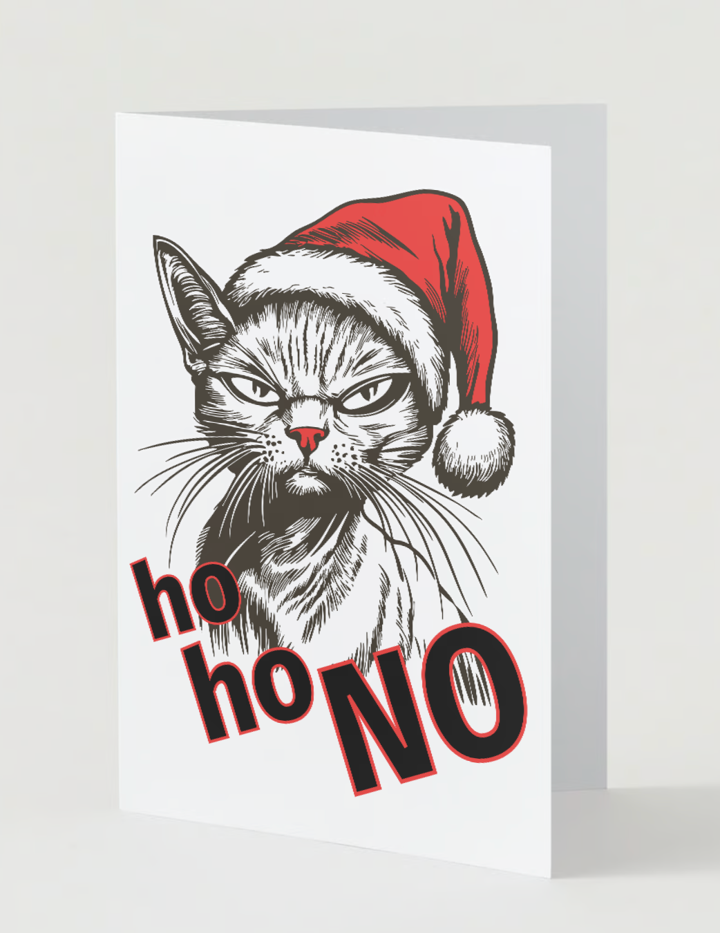HO HO NO Pack of 10 Christmas Greeting Cards (US & CA)